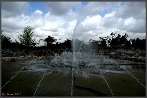 מזרקת המים הייחודית של אוטופיה