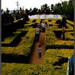 המבוך הקלאסי לילדים בגן אוטופיה