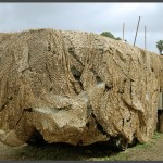 רפסודה אמפיבית לגישור תעלות מים בעלת כיסוי הסוואה