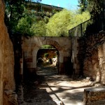 מבט על הסביבה הטבעית של קבר יאסון