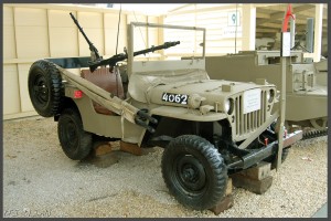 ג'יפ 4X4 של שועלי שמשון