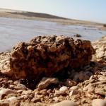 אבנים וחלוקי נחל בשפך נחל אלכסנדר לים התיכון