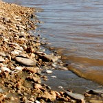 אבנים וחלוקי נחל בשפך נחל אלכסנדר לים התיכון