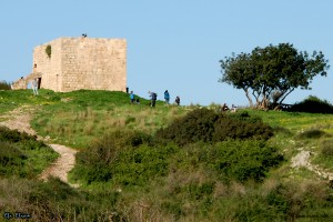 ח'ירבת סמארה על ראש גבעת הכורכר בשמורה