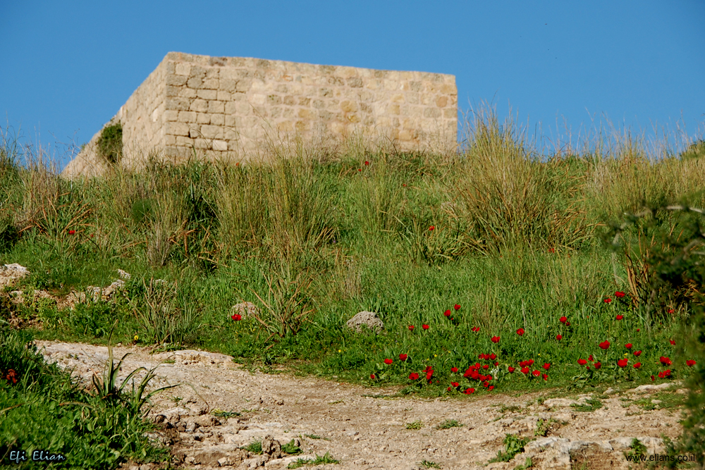 מבנה החווה העתיק בשמורת הטבע של נחל אלכסנדר