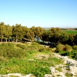 מבט אל אפיק נחל אלכסנדר מחורבת סמארה במעלה השמורה