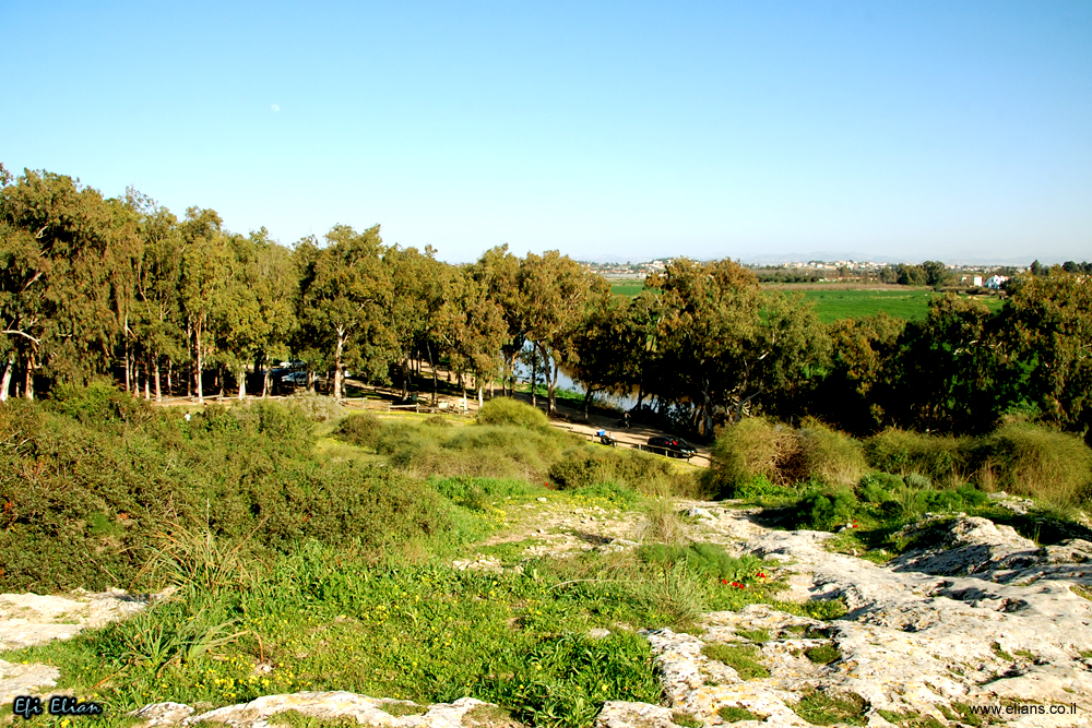 מבט אל אפיק נחל אלכסנדר מחורבת סמארה במעלה השמורה