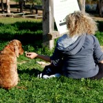החבר הטוב ביותר של האדם , מומלץ לביקורי משפחות