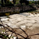 מבט לבריכת ממילא מצד מזרח למערב