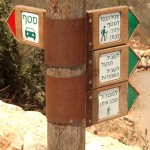 היורדים מחניון השמורה יבחרו את המסלול המועדף