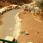 השביל המוריד אל דרכי הטיול בשמורה