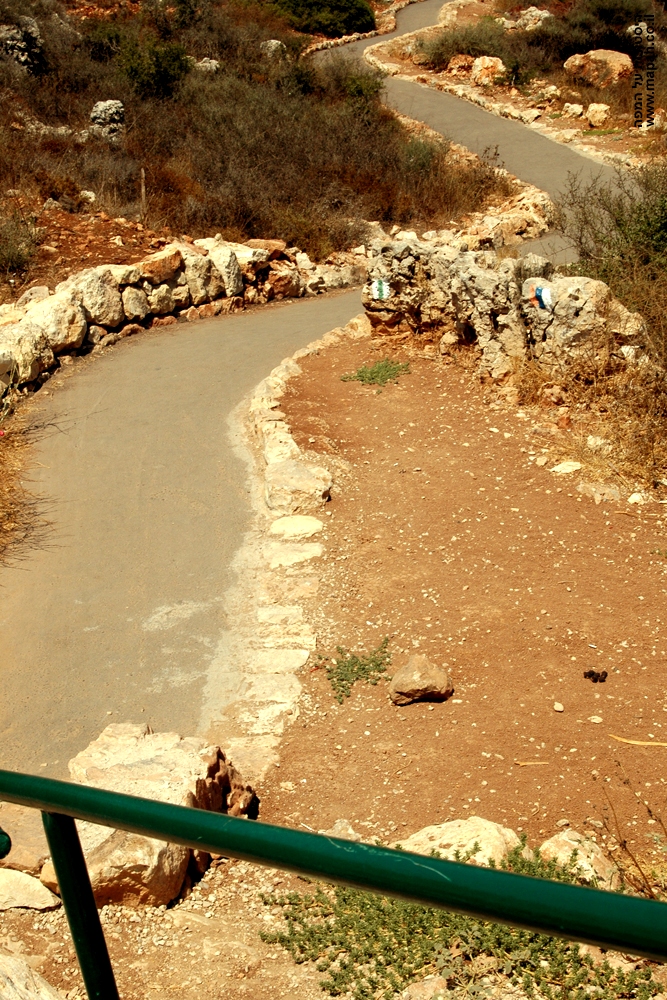 השביל המוריד אל דרכי הטיול בשמורה