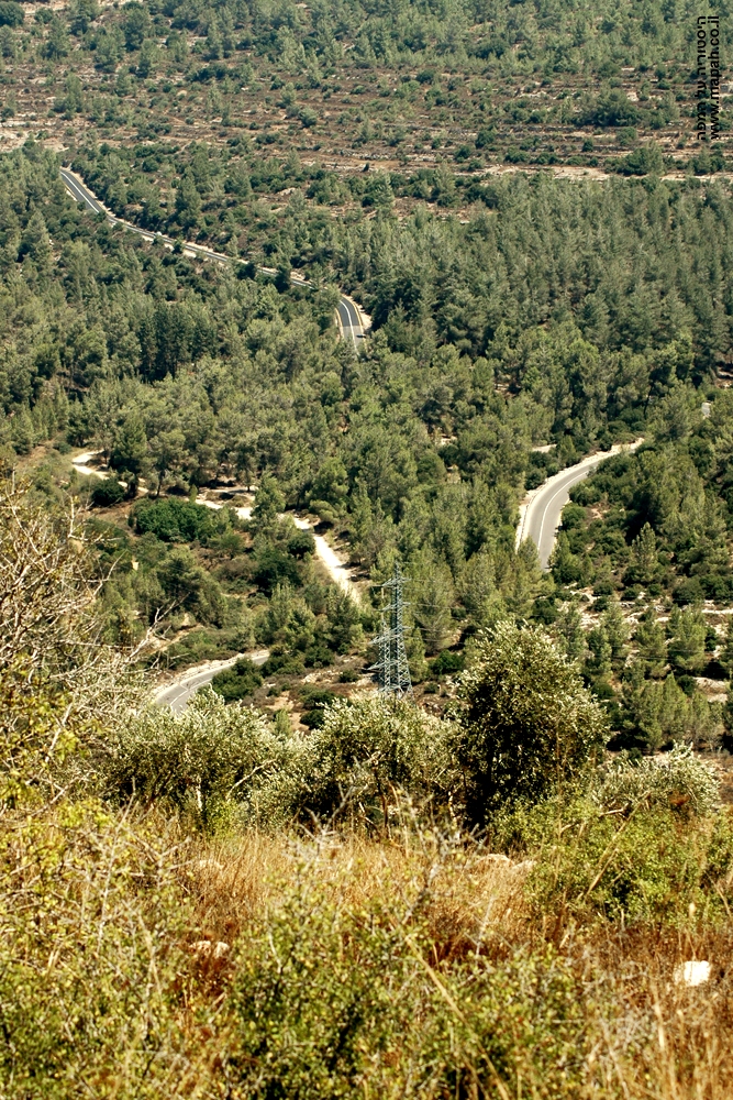 מראה אל תחתית השמורה מנקודת היציאה