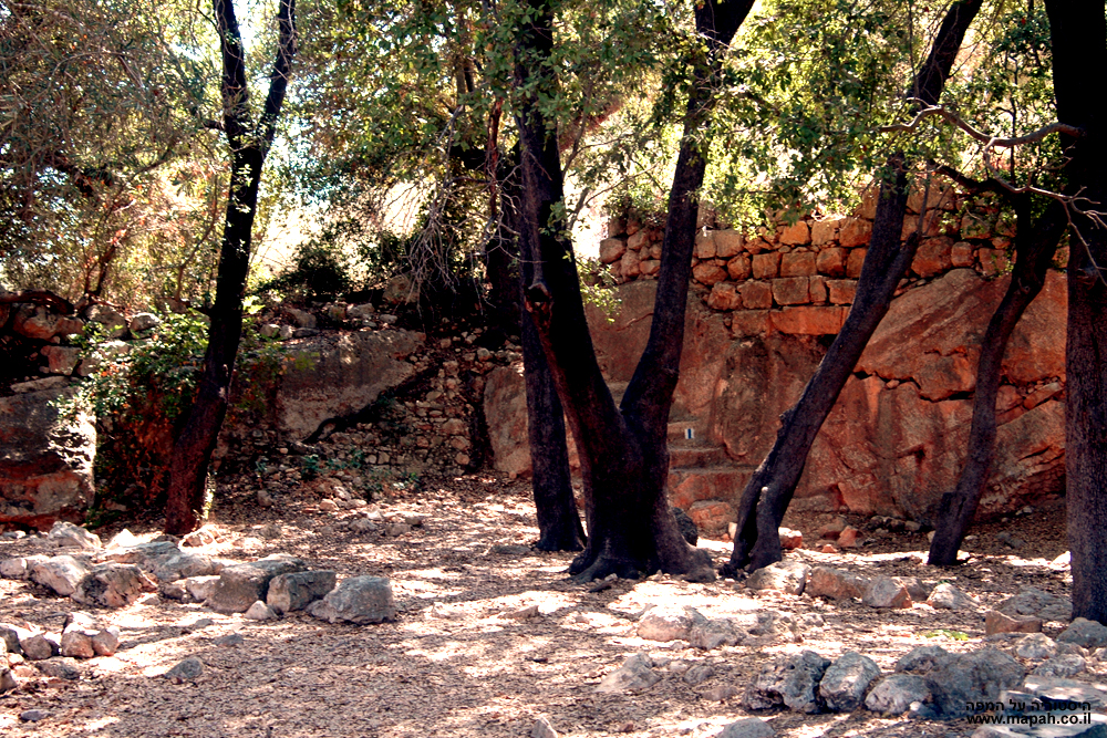 שרידי הכנסייה הביזנטית וחורשת האלונים העתיקה