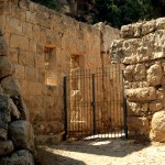 שרידי חצר בית מפואר בשמורת הסטף