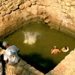 קופצים למים בבריכת הסטף