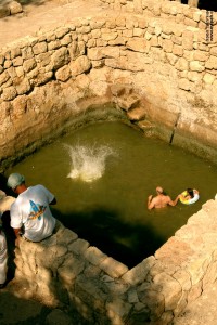 קופצים למים בבריכת הסטף