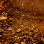 תחתית שפך מעין הסטף