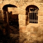 הדרך המובילה לעין ביכורא בשמורת הסטף