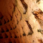 חריצי גידול יונים במערת קולומבריום בגן הלאומי תל מרשה