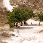 מבט מגבעת תל מרשה למורד מטה