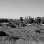 שדה הקרב המשוחזר לפי קרבות תש"ח בקיבוץ יד מרדכי
