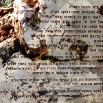 מידע מפורט אודות אסון המסוקים