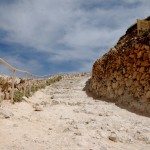 הדרך העולה אל מבצר ההרודיון