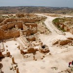 מבט לפנים הארמון מהמגדל הצפוני