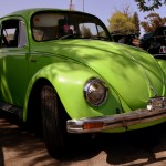 חיפושית מהממת במפגש מועדון החמש ביד מרדכי