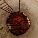 דרך העברת חביות היין למרתף היקב במקווה ישראל