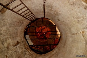 דרך העברת חביות היין למרתף היקב במקווה ישראל