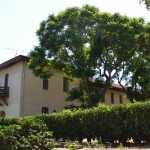 בית יעקב נטר