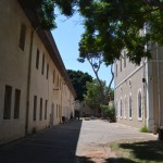 השדרה בין בית נטר לבית הכנסת במקוה ישראל