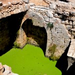 בריכת המים הירוקה למדי בקלעת נמרוד