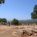 שטחו המרכזי של מבצר נמרוד