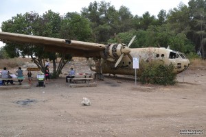 ספסלי פיקניק מתחת לכנפי הנורד ביער המגינים