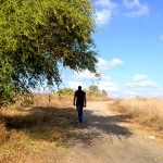 שביל החצץ העולה אל מרומי תל קטרה בגדרה