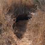 המבנה האחרון שנותר על תילו בתל קטרה - חלק מכיפת תקרת בית