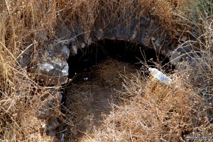 תקרת הבית האחרון שנותר (יחסית) שלם בתל קטרה - צילום: אפי אליאן