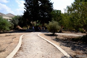 פינת הזכרון שהוקמה לזכר מירה בן ארי בסמוך לארמון ניצנים - צילום: אפי אליאן