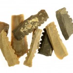 כלי הצור שנחשפו במהלך החפירה. צילום: קלרה עמית, באדיבות רשות העתיקות