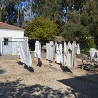 חצר המכבסה ותליית הכביסה במכון איילון