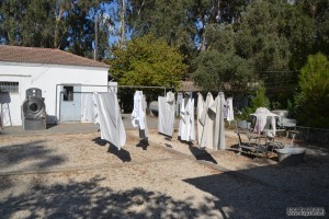 חצר המכבסה ותליית הכביסה במכון איילון