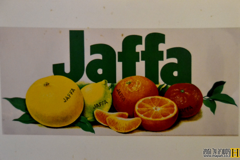 פרסומת תפוזי JAFFA במוזיאון הפרדסנות ע"ש מינקוב - צילום רפרודוקציה : אפי אליאן