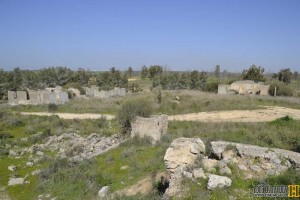 שרידי מבנים בריטים שהשתייכו לשדה התעופה של חיל האויר הבריטי R.A.F בבארי - צילום: אפי אליאן