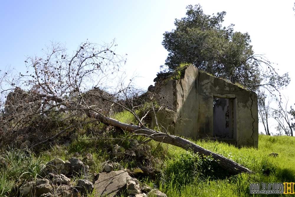 שרידי מבנה שדה התעופה הבריטי R.A.F בבארי - צילום: אפי אליאן