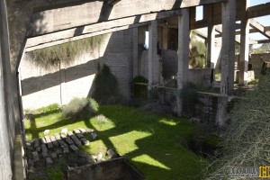 פנים מפעל הגופרית הבריטי ביער בארי - צילום: אפי אליאן