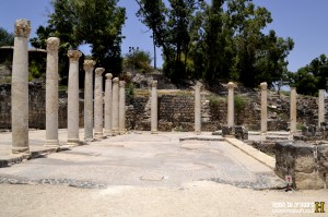 רצפת הפסיפס בדרך המובילה לבית המרחץ המערבי