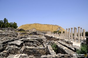 חלקו האחורי של הסטיו ורחוב פלאדיוס